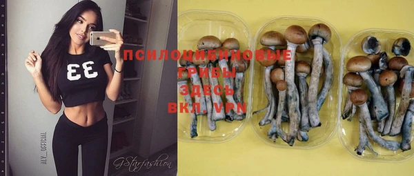 бошки Бородино