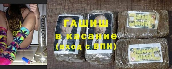 индика Елабуга