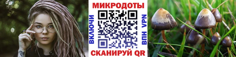 что такое наркотик  Среднеколымск  Галлюциногенные грибы мицелий 